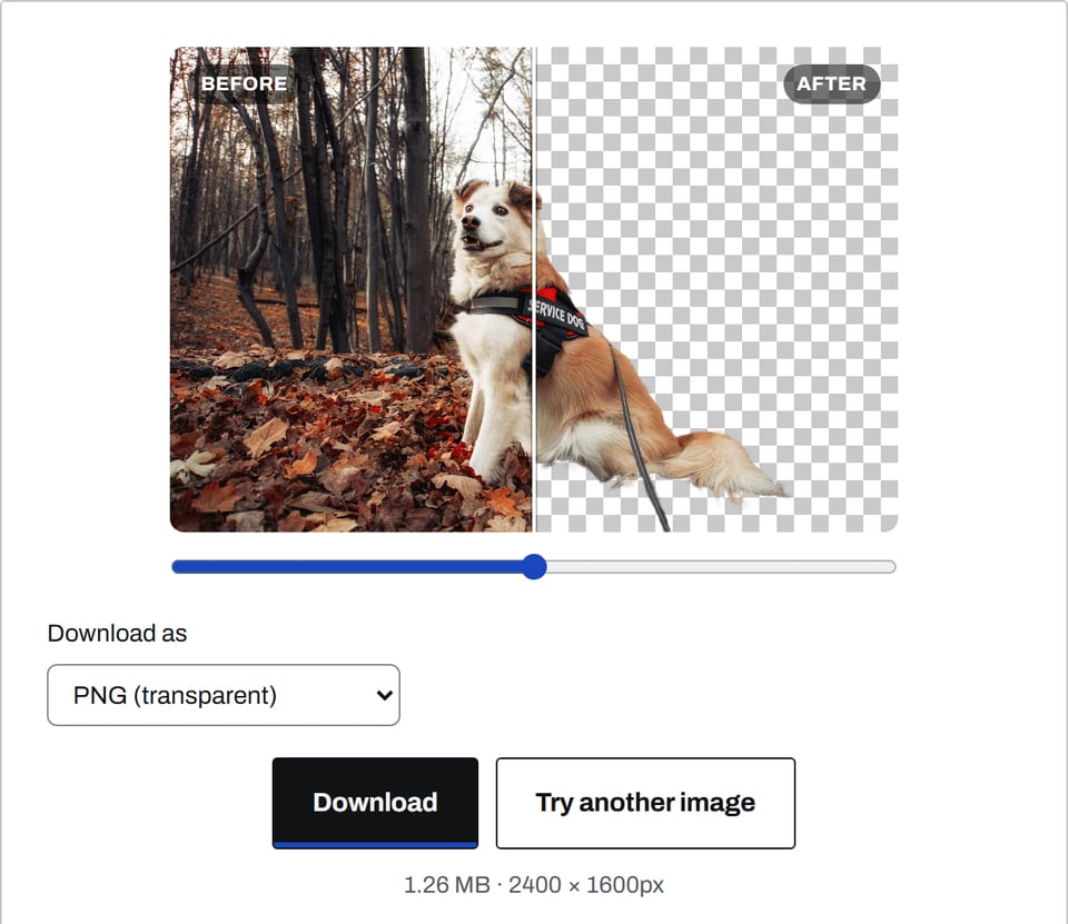 Background Remover comparison slider on a photo of a brown and white dog sitting in autumn leaves: the left half shows the original forest, the right half shows the dog cut out on a transparent background.