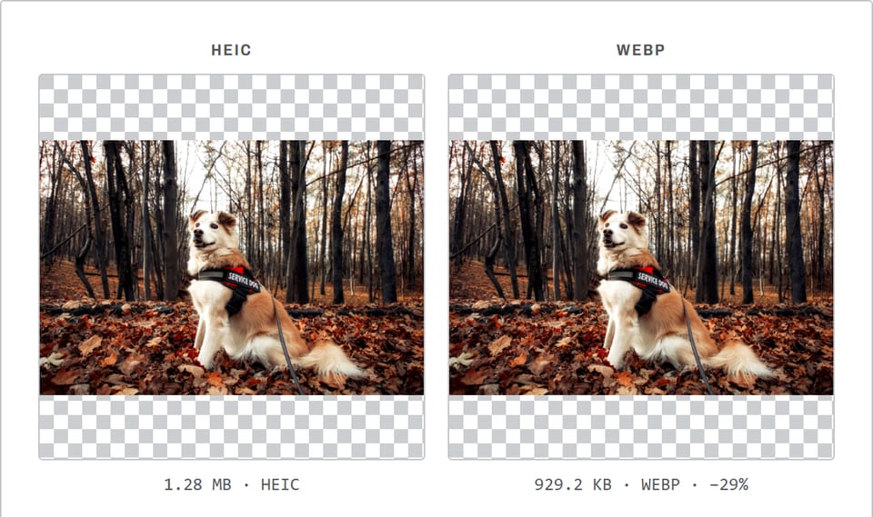 HEIC to WebP converter showing a photo of a dog in autumn leaves: 1.28 MB as HEIC and 929.2 KB as WebP.