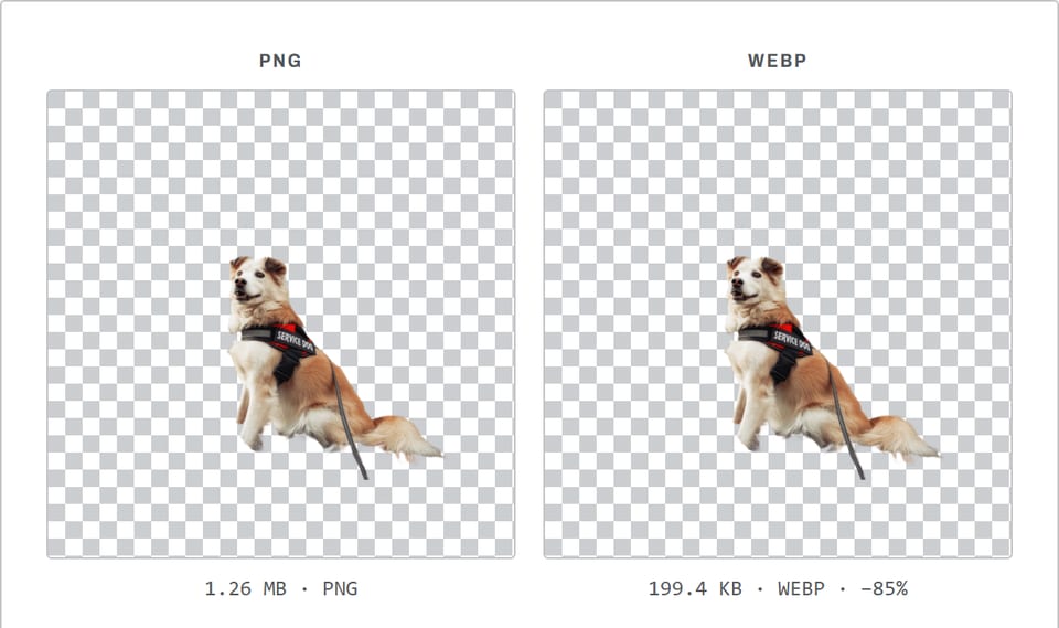 PNG to WebP converter showing a cut-out photo of a dog on a transparent background: 1.26 MB as PNG and 199.4 KB as WebP.